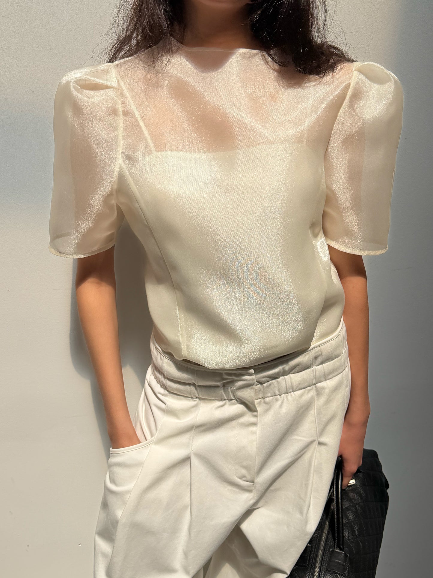 Organza Mock Neck Blouse - Soft Champagne