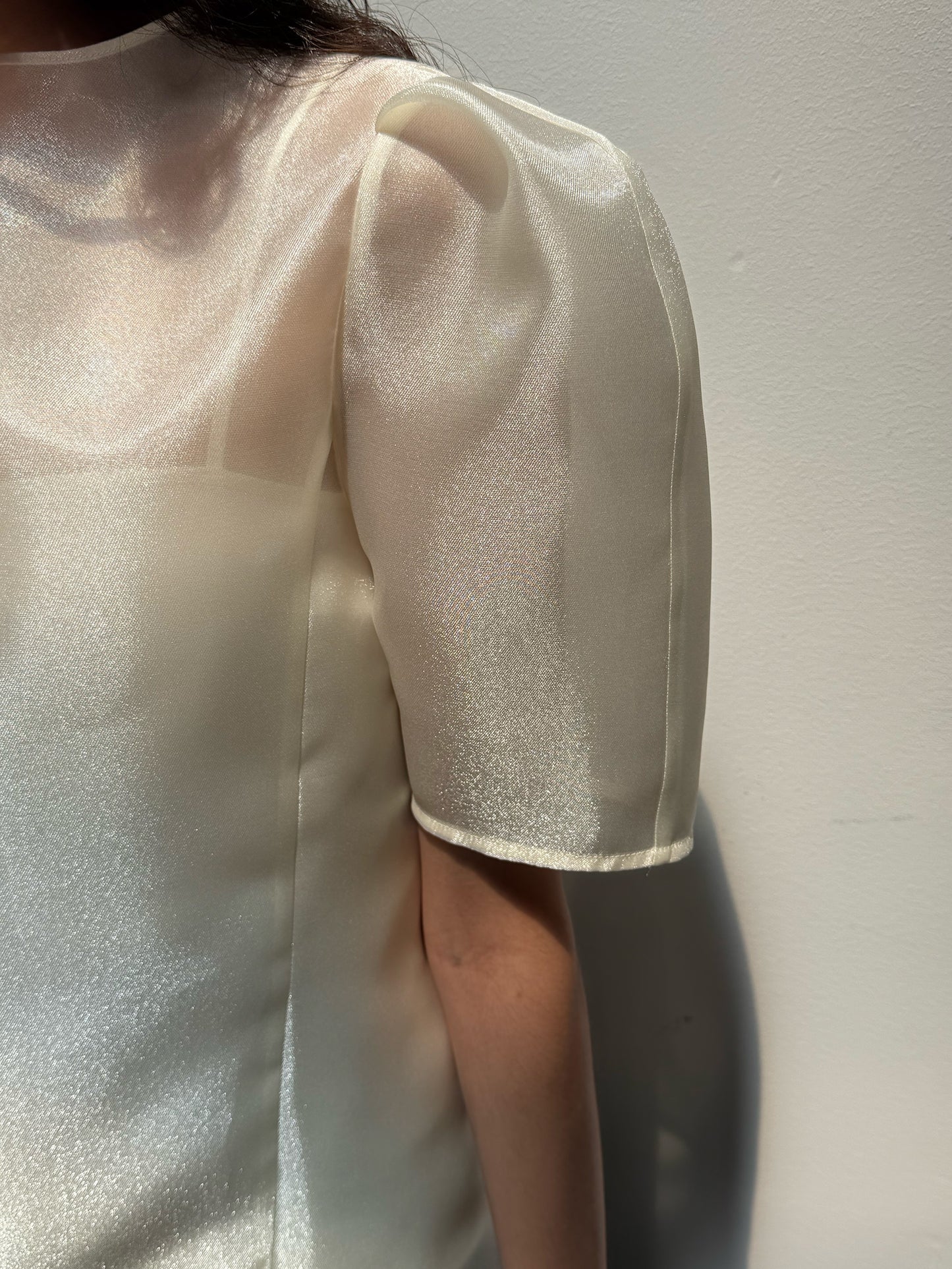 Organza Mock Neck Blouse - Soft Champagne